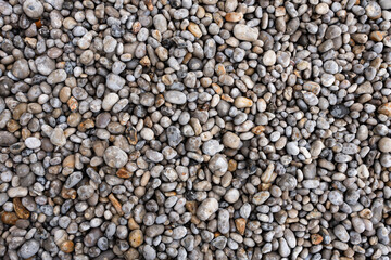Rocky beach close-up