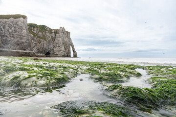 Coastal bottom at low tide at &Eacute;tretat