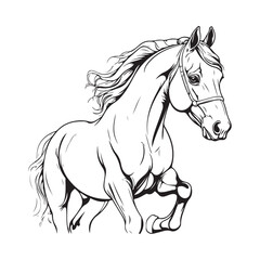 line art on white background. line art horse on white background. sketch style. Vector graphic icon animal.