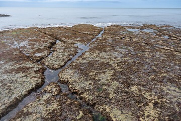 Coastal bottom at low tide at Étretat