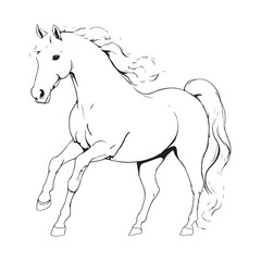 line art on white background. line art horse on white background. sketch style. Vector graphic icon animal.