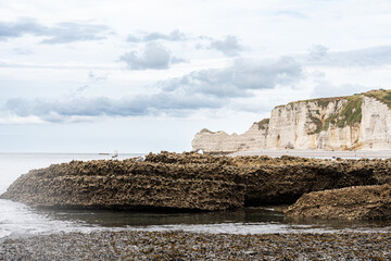 Naklejka premium Natural rocks in the shape of arches in Etretat at low tide