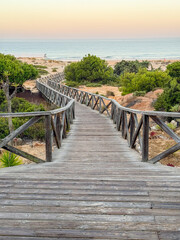 Obraz premium sand dunes that give access to La Barrosa beach in Sancti Petri, Cadiz, Spain