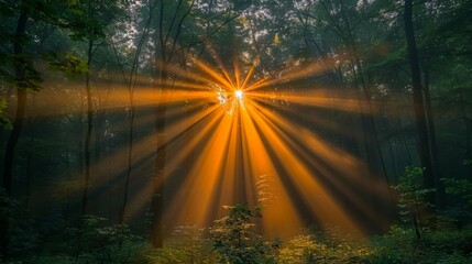 Create a magical Easter background with a mystical forest glade illuminated by beams of golden sunlight filtering through the trees.