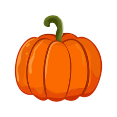 Vegetable pumpkin. Vector. Autumn pumpkin symbol for Halloween or Thanksgiving. Flat design. Orange pumpkin silhouette on white background.