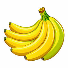 Bunch Of Fresh Banana Isolated art vector illustration