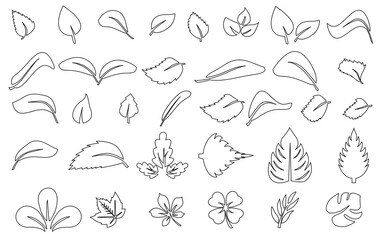 Set of green leaf icons black line  . Leafs green color icon logo. Leaves on white background. Ecology. Vector illustration