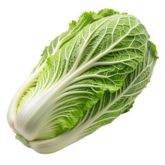 Fresh whole chinese cabbage isolated on a white background. Ai generated