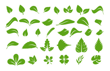 Set of green leaf icons. Green color. Leafs green color icon logo. Leaves on white background. Ecology. Vector illustration.