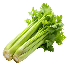 Fresh celery stalk isolated isolated on white background. Ai generated