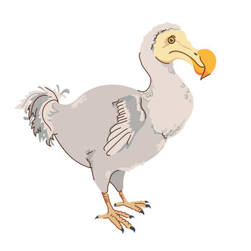 recommend clip art: Dodo bird cartoon character. Endemic species of flightless bird raphus cucullatus that lived in Mauritius. Isolated vector illustration of extinct grey bird known for its large size, good nature.