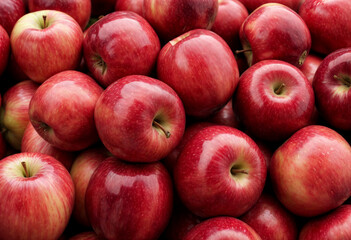 Lots of red apples. Tasty and juicy. Background of apples. High quality photo