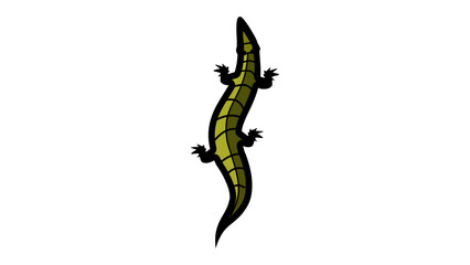 green crocodile top view, flat color illustration