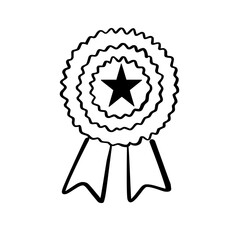 silver medal with ribbon