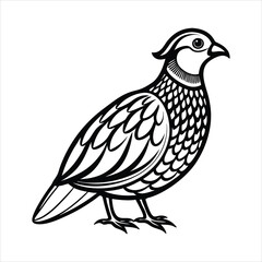 Fototapeta premium Quail Silhouette bird illustration
