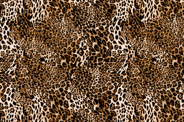 The beautiful of art leopard skin Pattern
