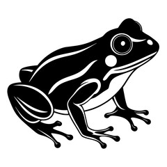 Common coqui black frog art vector illustration