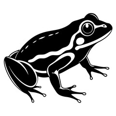 Common coqui black frog art vector illustration