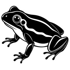 Common coqui black frog art vector illustration