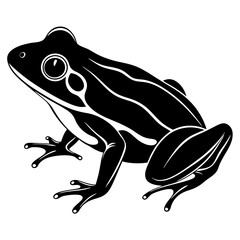 Common coqui black frog art vector illustration