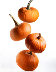 Pumpkins falling freely vertically on white background