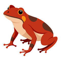 Common coqui frog art vector illustration