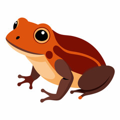 Common coqui frog art vector illustration