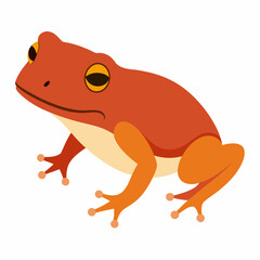 Common coqui frog art vector illustration