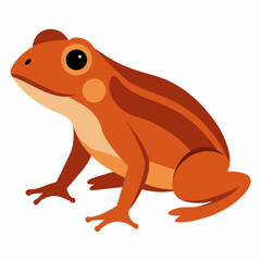 Common coqui frog art vector illustration