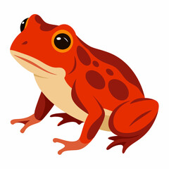 Common coqui frog art vector illustration