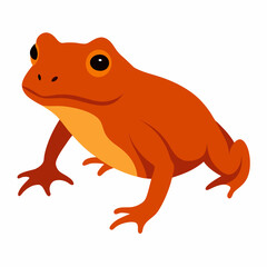 Common coqui frog art vector illustration