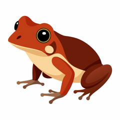 Common coqui frog art vector illustration