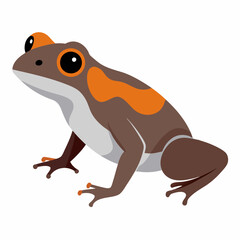 Common coqui frog art vector illustration