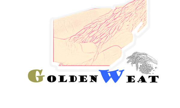 Wheat logo, design

