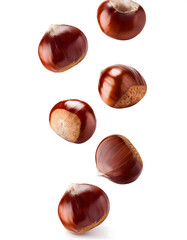 Group of chestnuts falling vertically freely on white background
