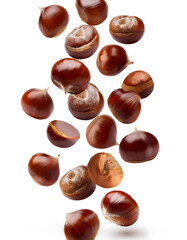 Obraz premium Group of chestnuts falling vertically freely on white background