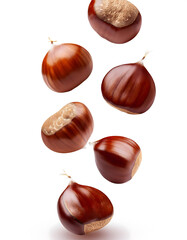 Obraz premium Group of chestnuts falling vertically freely on white background