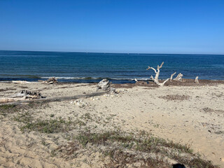 paysage front de mer / Corse 