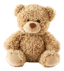teddy bear isolated on white background