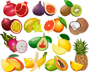 Colored illustration with a set of fruits.A large collection of bright ripe tropical fruits.