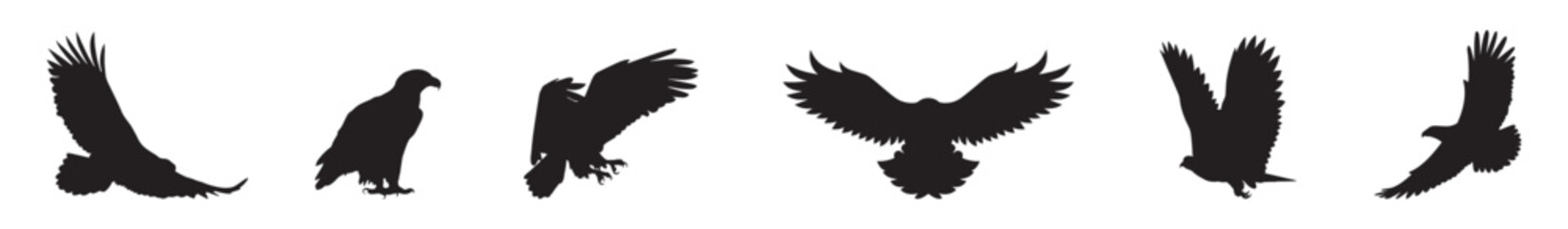 Obraz premium Set of Eagle silhouette.