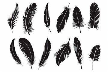 Feather icon, animal feathers isolated, black plume symbol, minimal plume silhouette on white