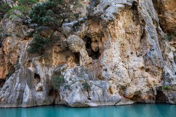 beautiful nature in mallorca, spain