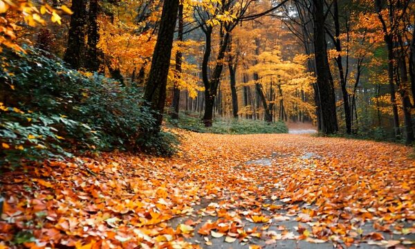 a wooden bench sitting in the middle of a forest