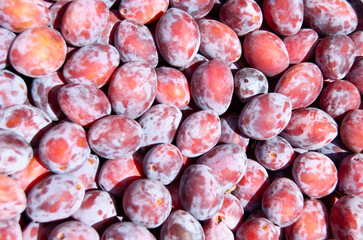 A pile of fresh plums. Blue plums background.