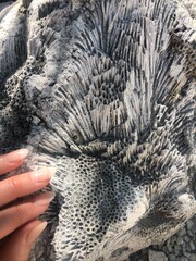 Hand on a piece of coral