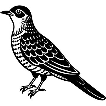 recommend clip art: cuckoo bird silhouette vector illustration 