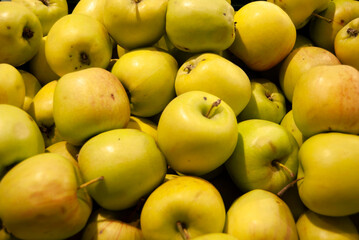 A pile of green apples. Yellow apple background.