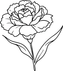 line art of a flower, vector illustration 