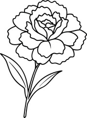 line art of a flower, vector illustration 